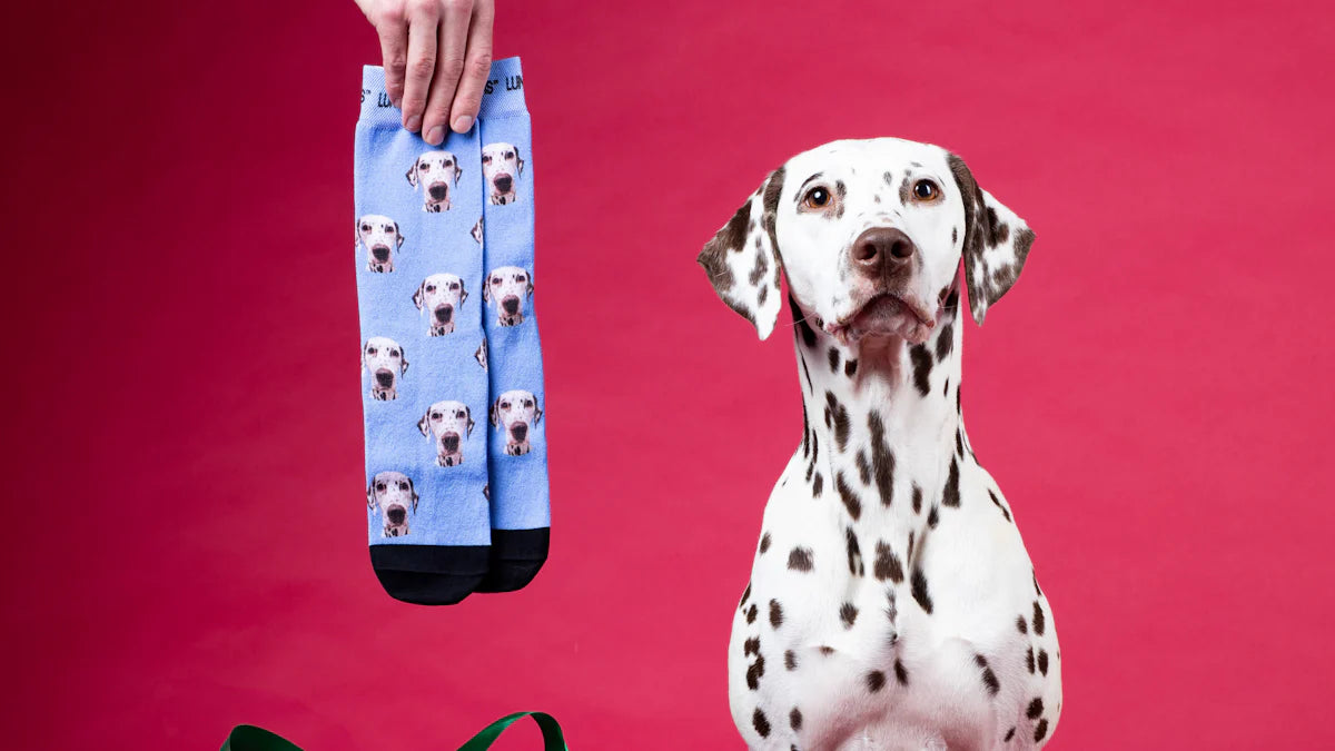 Dalmatian dog beside fun socks featuring dog prints, perfect Gifts for Dog Owners