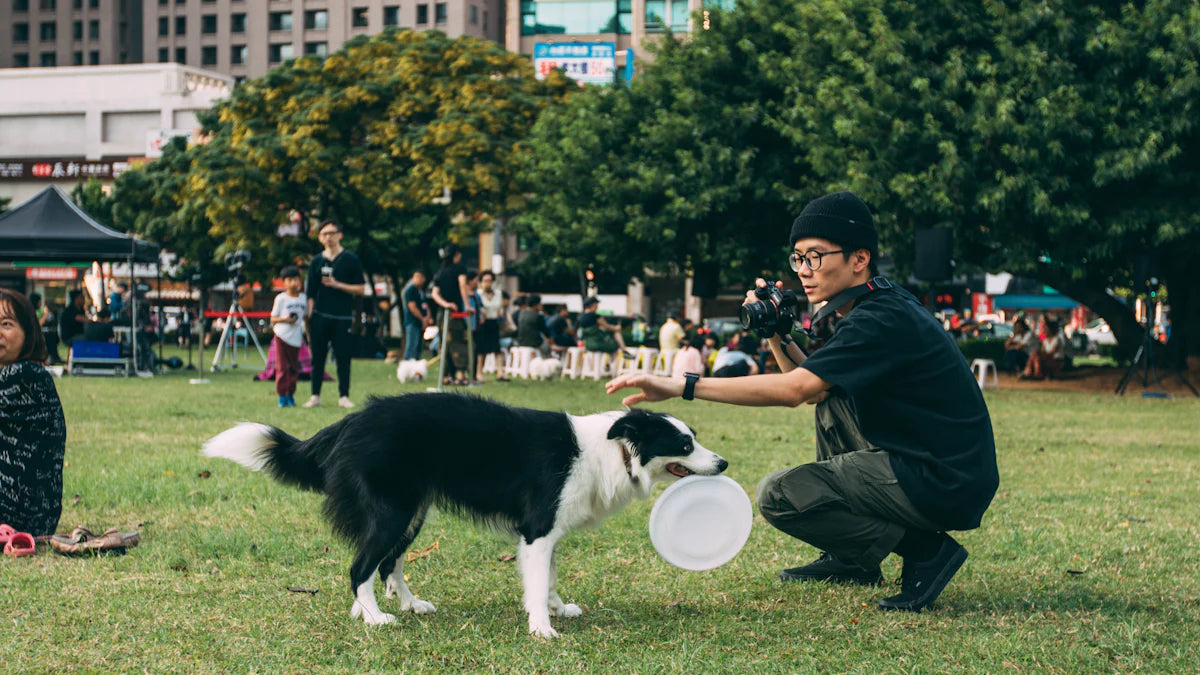 Should You Train Your Dog or Hire a Professional Pros and Cons