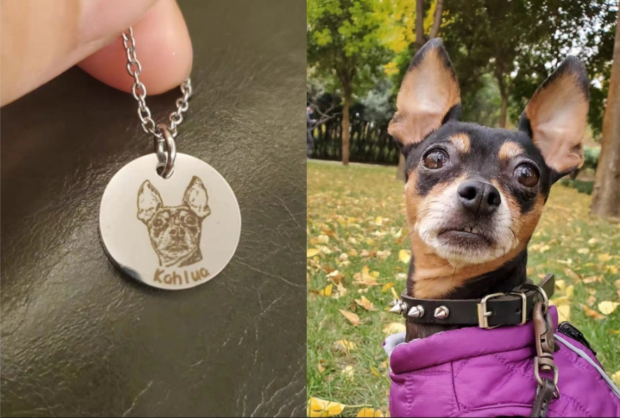 Personalized Pet Portrait Necklaces featuring engraved dog image beside the actual dog wearing a purple jacket