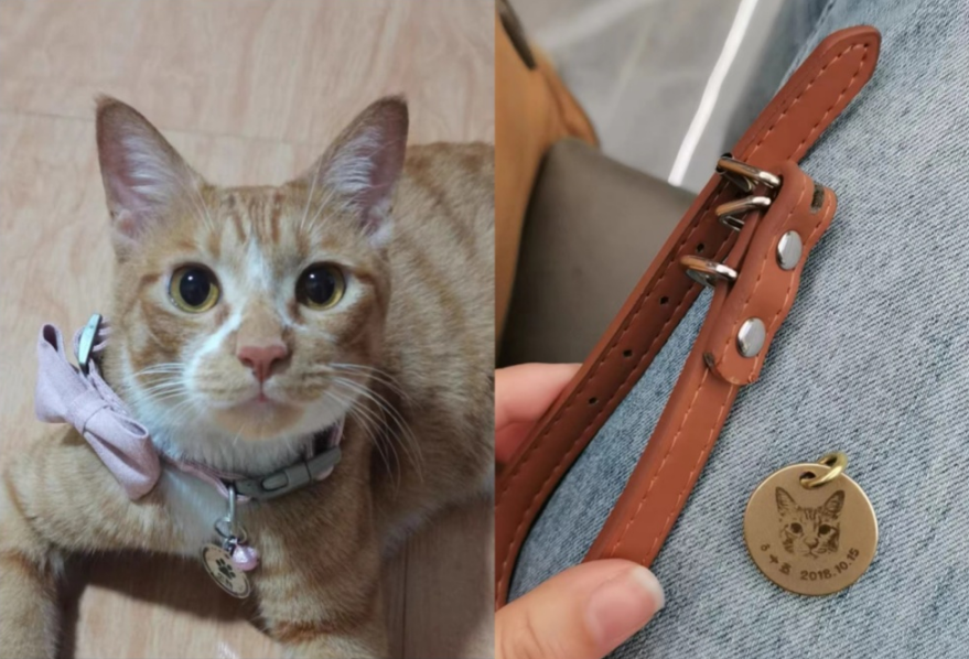 Custom Engraved Pet Face Keychains with detailed cat face engraving shown on a cat collar and held in hand