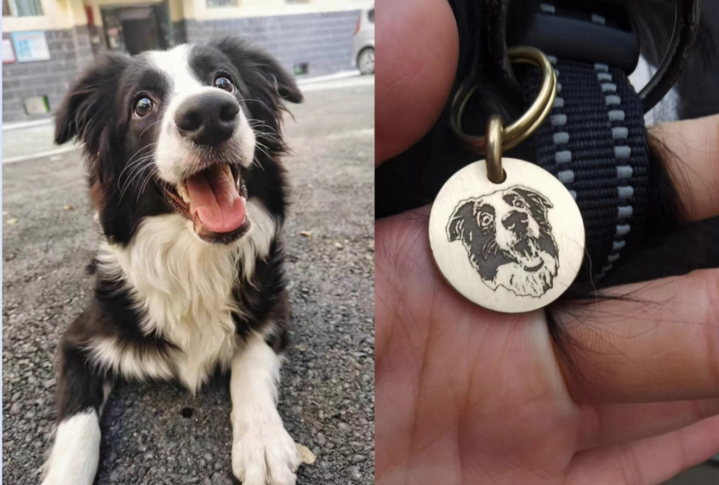 Border Collie smiling outdoors with a hand holding Custom Engraved Pet Face Keychains showing engraved round metal portrait