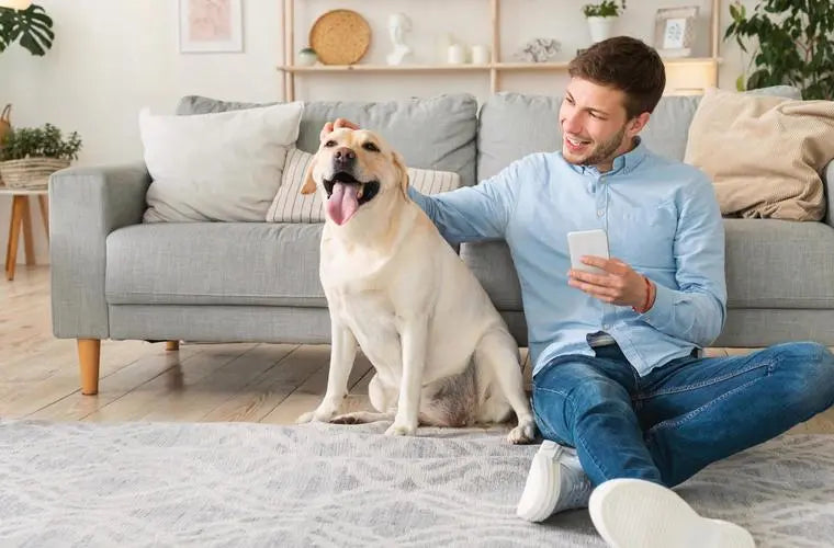 Dogs Love: A man smiling and petting a happy dog on a cozy living room couch
