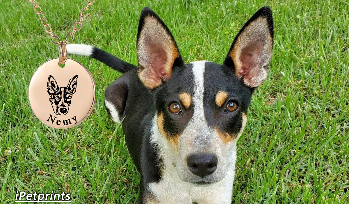 Which Photograph Necklace Material Fits Your Style?