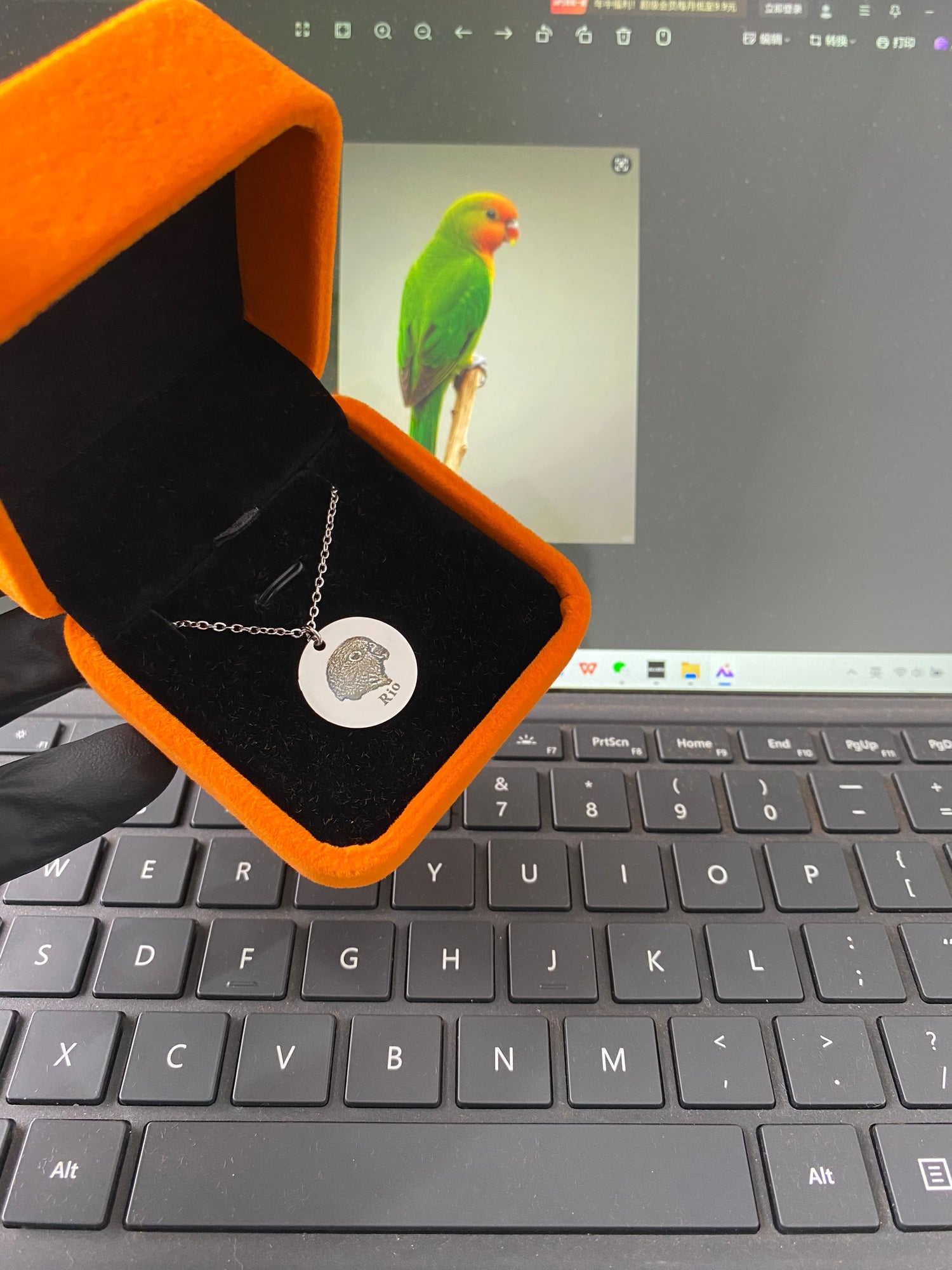 Pet Face Necklaces silver round pendant in orange velvet box held over laptop showing parrot photo