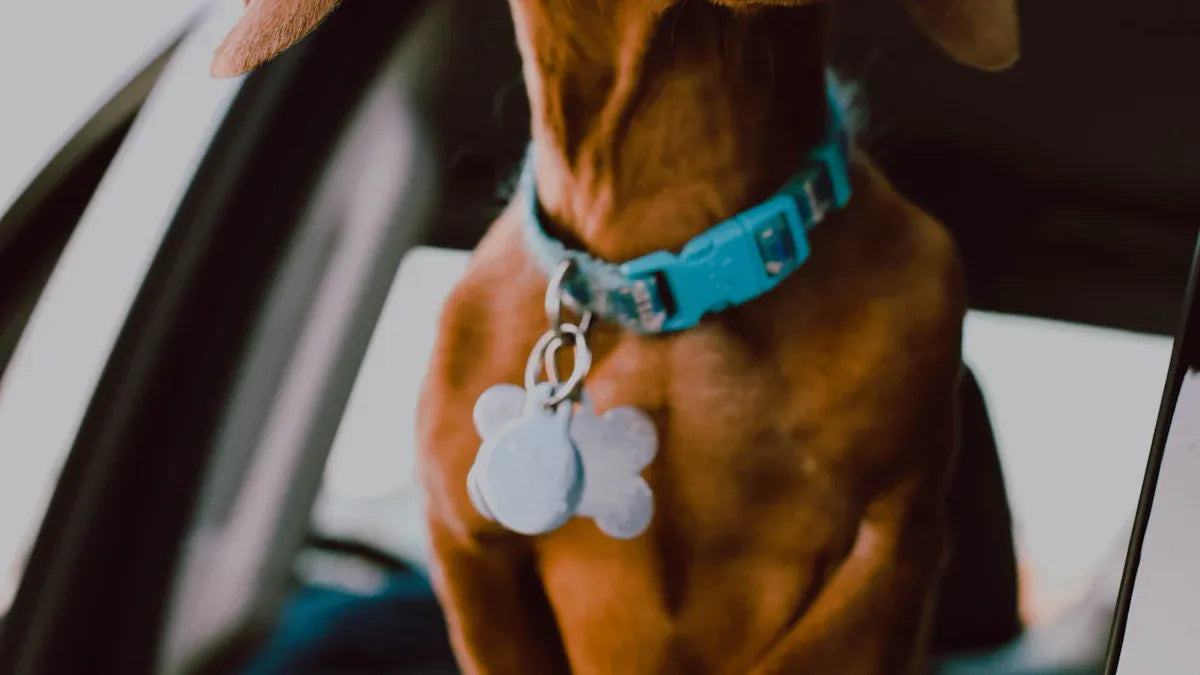 How Dog Tag Necklaces Keep Your Pet's Memory Alive