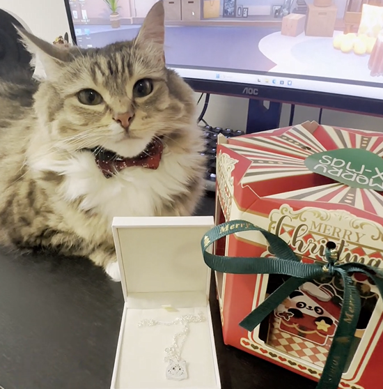 Latest Pet Face Necklace Gift Trends for Christmas 2025