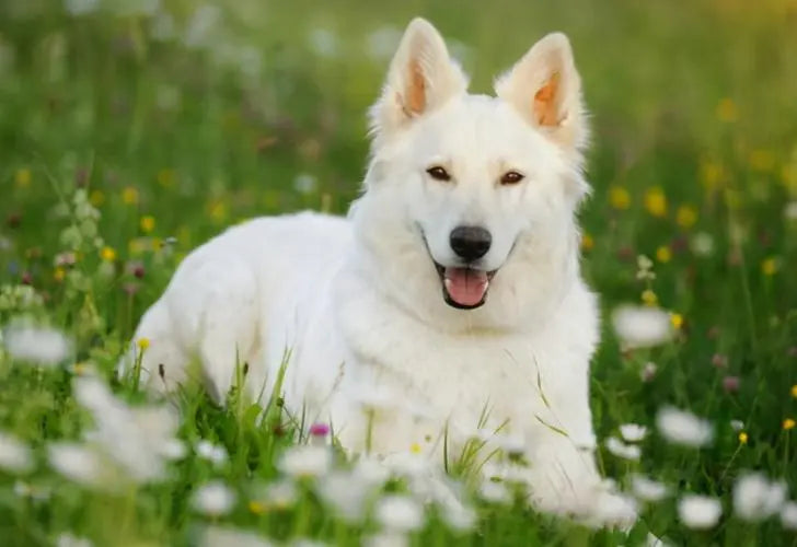 Links Page - Welcome to Our Links Page